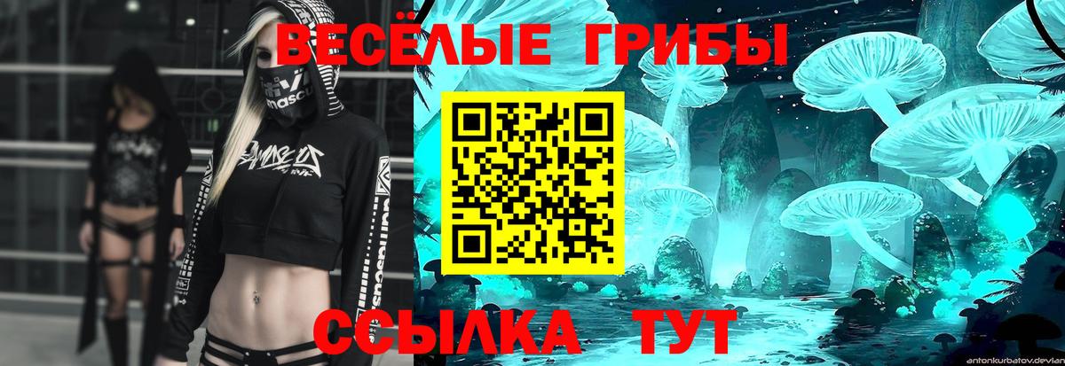 Галлюциногенные грибы Cubensis Каспийск